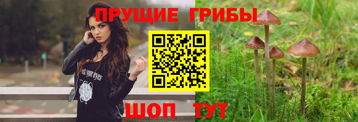 Галлюциногенные грибы MAGIC MUSHROOMS Белгород