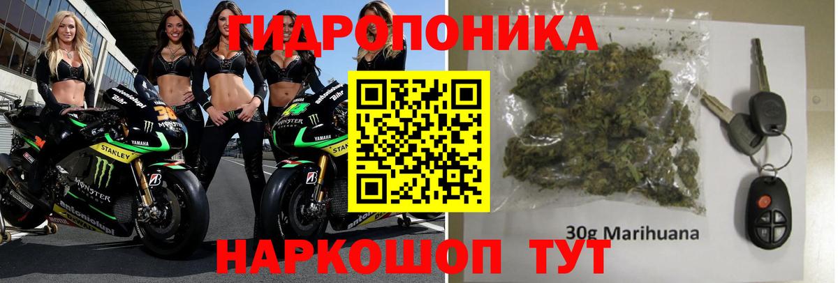 Бошки Шишки индика  МАРИХУАНА White Widow  Белгород  Конопля сатива  Вход с VPN  Конопля тримм 